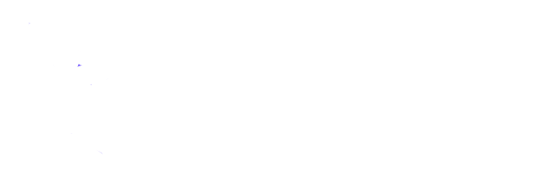 121Developer